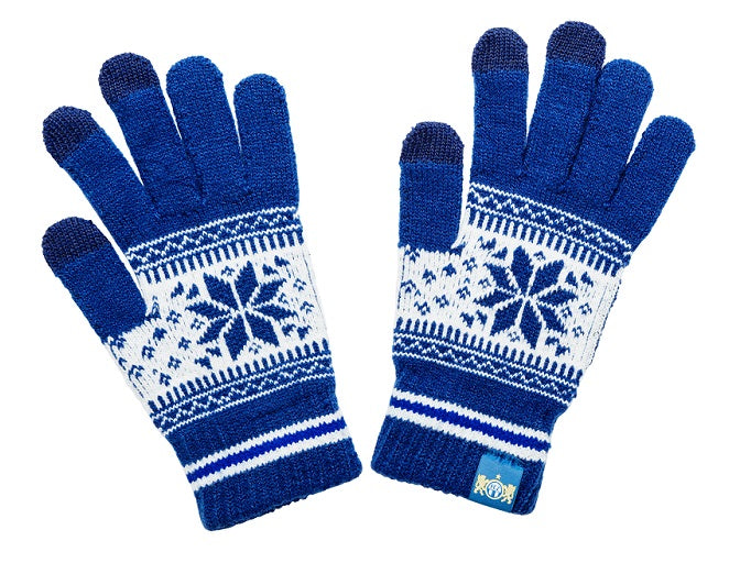 Handschuhe FA15 blau/navy