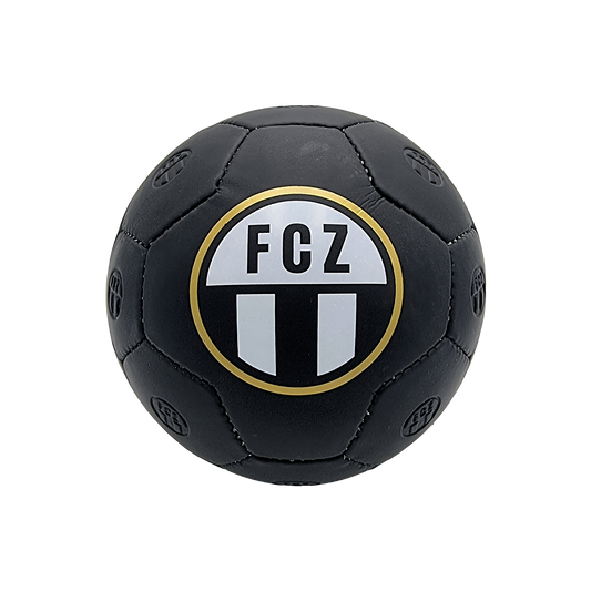 Fussball FCZ Gr. 5
