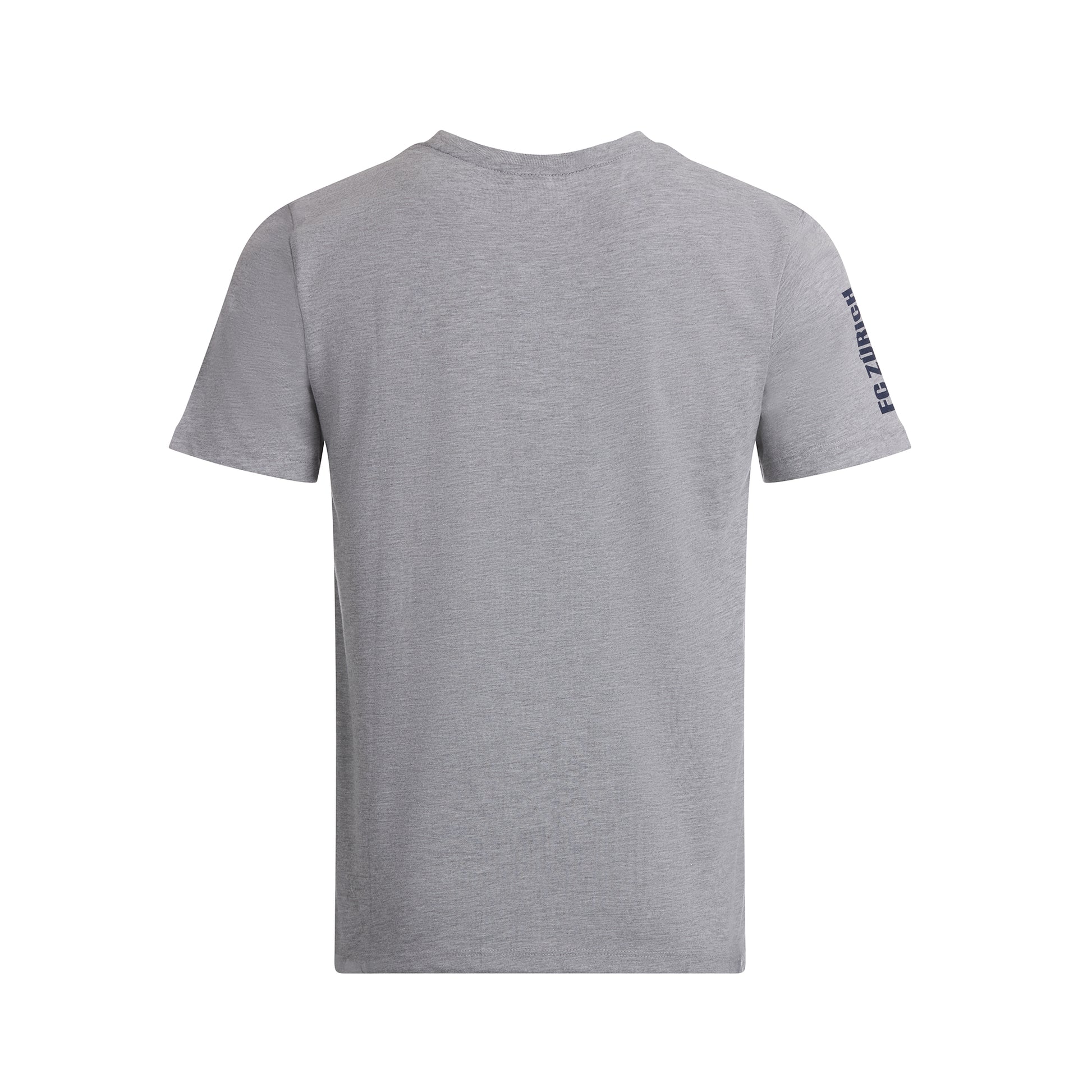 shirt-löwe-blau-t-shirt